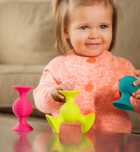 Load image into Gallery viewer, Pip Squigz