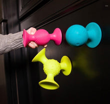 Load image into Gallery viewer, Pip Squigz