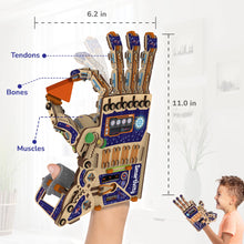 Load image into Gallery viewer, Smartivity Mechanical Hand
