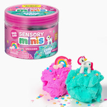 Load image into Gallery viewer, Sensory Minis