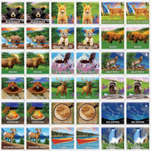 Load image into Gallery viewer, Jr. Ranger Matching Game