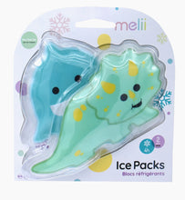Load image into Gallery viewer, Ice Packs