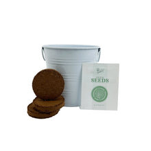 Load image into Gallery viewer, Daisy Grow Kit