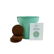 Load image into Gallery viewer, Coneflower Grow Kit