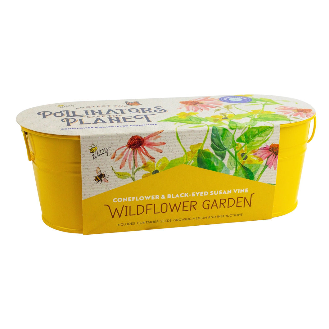 Wildflower Garden - Coneflower & Black-Eyed Susan Vine