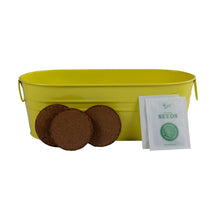 Load image into Gallery viewer, Wildflower Garden - Coneflower &amp; Black-Eyed Susan Vine